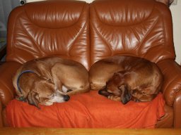 familie_und_freunde_11_20210219_1653121158