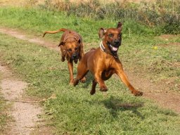 familie_und_freunde_6_20210219_1505587886