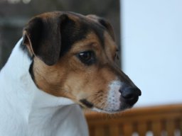 grete_fruehjahr_2017_10_20210219_1664127426