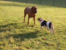 grete_fruehjahr_2017_17_20210219_2068774327