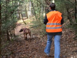 mantrailing_3_20210219_1741702682