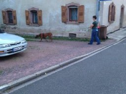 mantrailing_5_20210219_1770190938