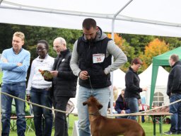 rrcl-_clubshow_2015_19_20210219_1924172331