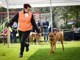 rrcl_clubshow_2017_2_20210219_1871964173