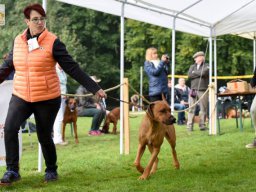 rrcl_clubshow_2017_4_20210219_1749732459