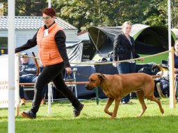 rrcl_clubshow_2017_7_20210219_1018997830