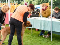 rrcl_clubshow_2017_8_20210219_1842938562