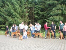 welpentreffen_a-wurf_juni_2016_14_20210219_1125397555