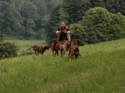 welpentreffen_a-wurf_juni_2016_17_20210219_1777388109