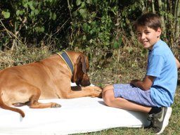 welpentreffen_c-wurf_18082018_10_20210219_2003040209