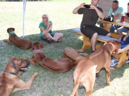 welpentreffen_c-wurf_18082018_13_20210219_1365905297