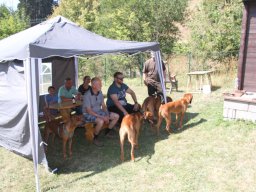 welpentreffen_c-wurf_18082018_4_20210219_1533526470